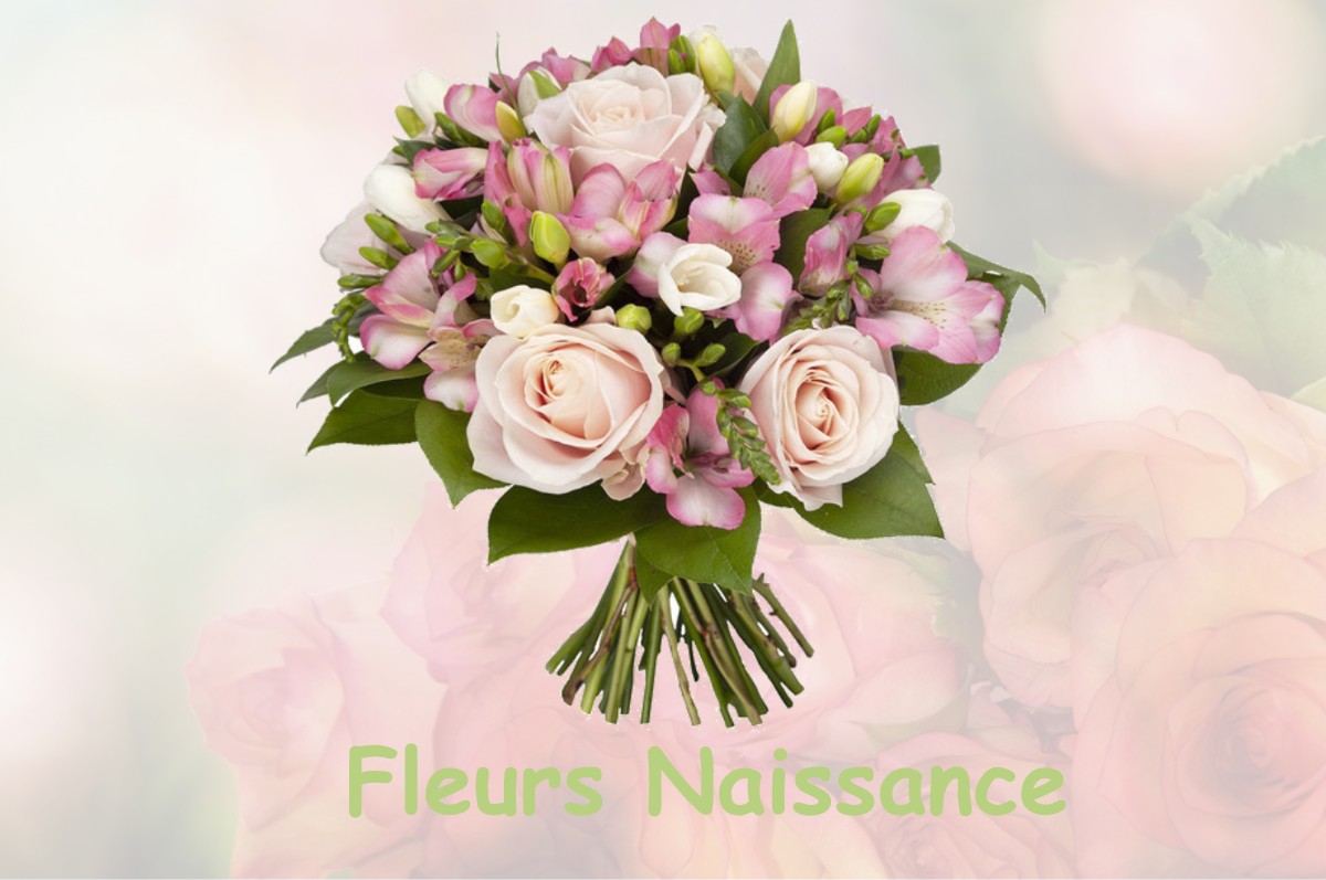 fleurs naissance VOITEUR