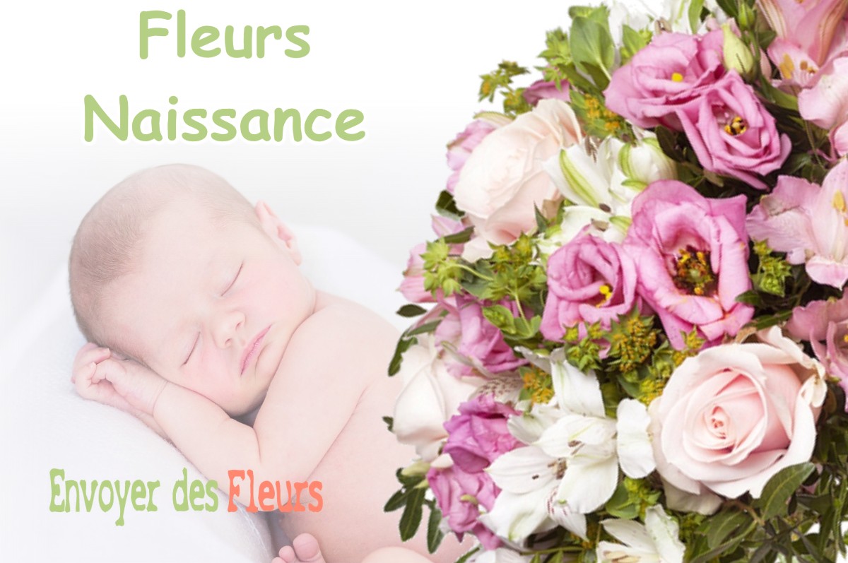 lIVRAISON FLEURS NAISSANCE à VOITEUR