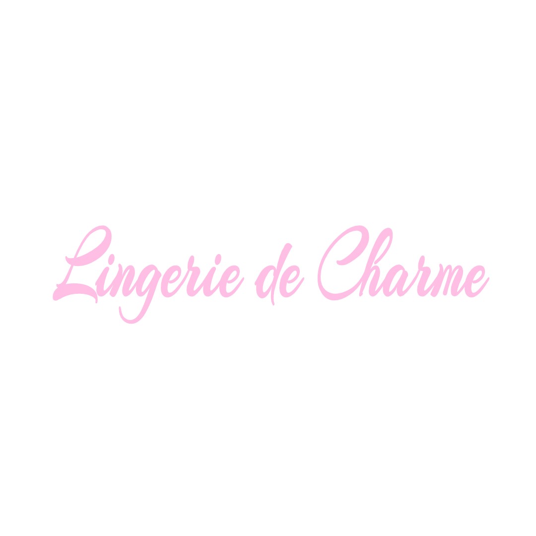 LINGERIE DE CHARME VOITEUR